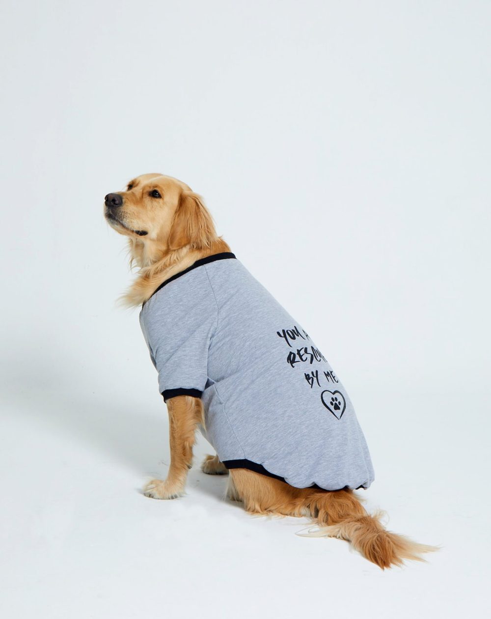 Ponchic Baskılı Köpek Kedi Sweatshirt